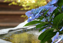 z(AWTC) 2005/6/26 |