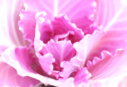 tO 2007/1/13@