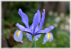 _b`EACX(aҊ) 2008/4/20 