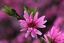 LN(e) 2007/4/14@