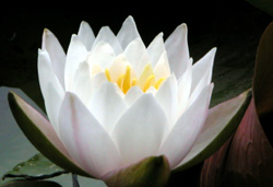 @(XC) 2005/5/23 X_