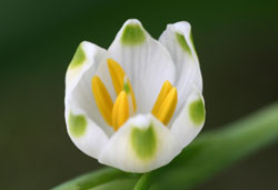 Xm[t[N(闖) 2007/4/1@