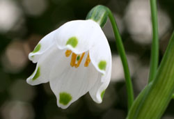 Xm[t[N(闖) 2006/04/17@