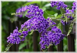 f^E^JdJ 2008/7/12 ޗǒ