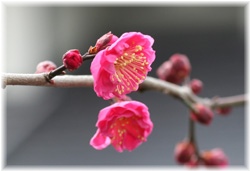 g~ 2008/1/28 